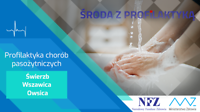 Infografika. W tle na zdjęciu: Namydlone ręce pod strumieniem wody. Tekst: Profilaktyka chorób pasożytniczych - Świerzb,